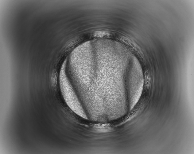 X0000095910375200801251015