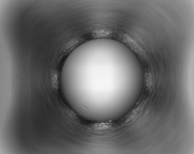 X0000095910378200801251015