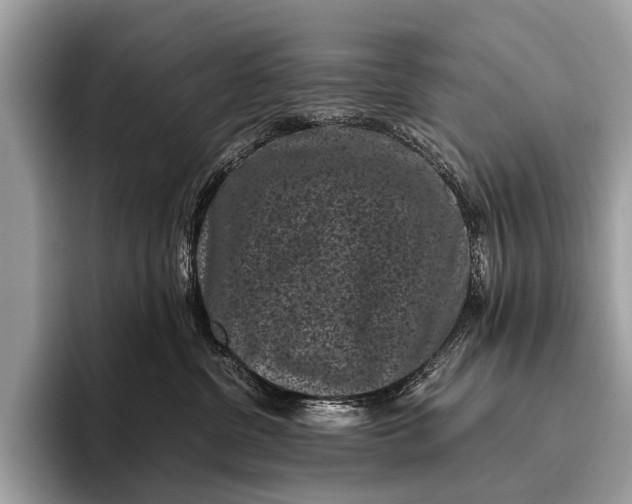 X0000095910380200801251015