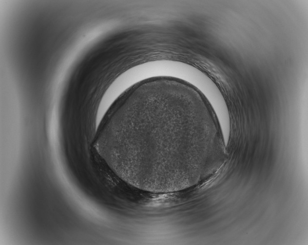 X0000095910382200801251015