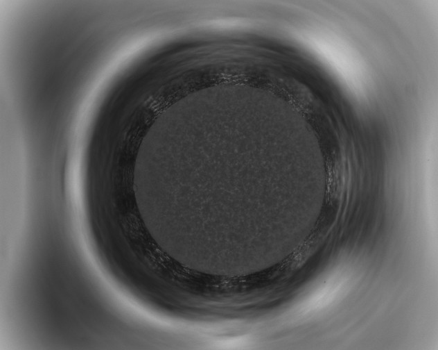 X0000095910383200801251015