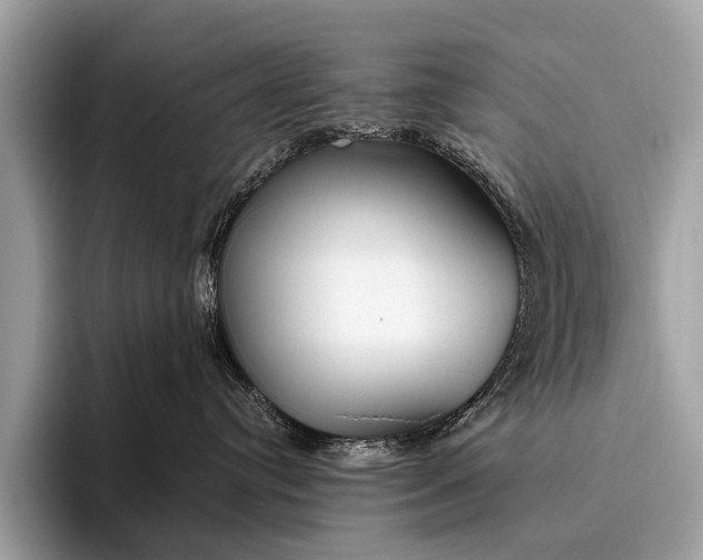 X0000095910384200801251015