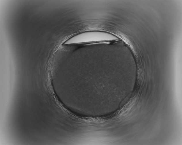 X0000095910385200801251014