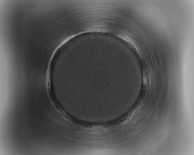 X0000095910388200801251014