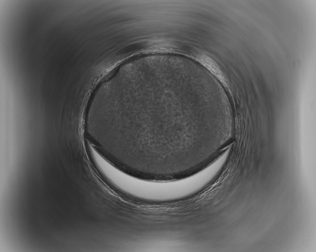 X0000095910389200801251014