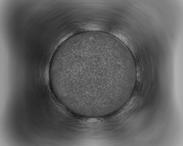 X0000095910390200801251014