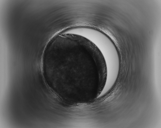 X0000095910391200801251014