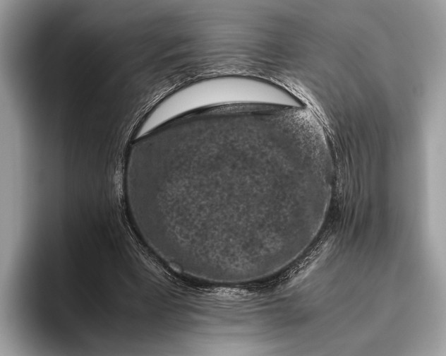 X0000095910393200801251014