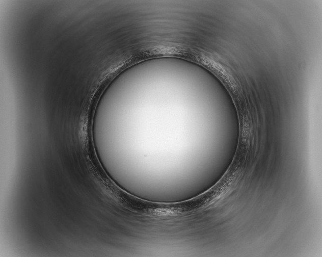 X0000095910394200801251014