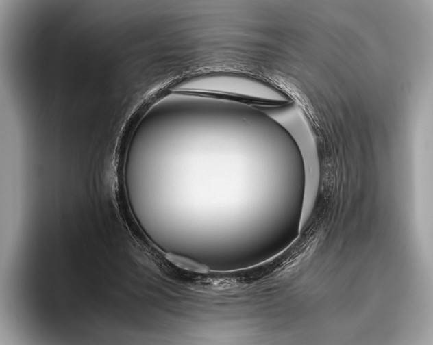 X0000095910395200801251014