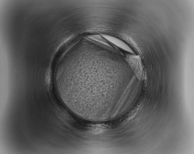 X0000095910396200801251014