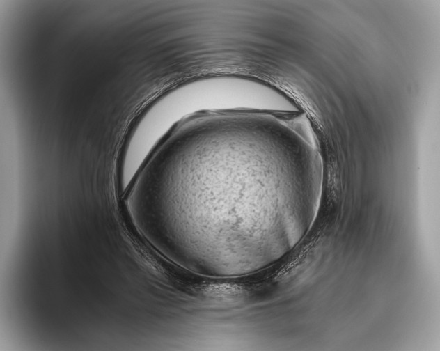 X0000095910397200801251014