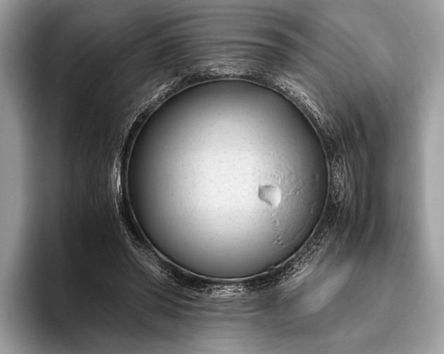 X0000095910398200801251014