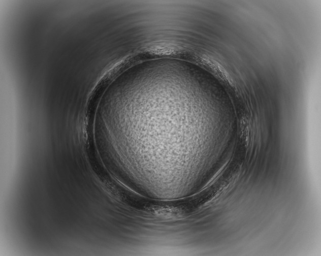 X0000095910400200801251014