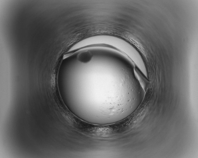 X0000095910401200801251014