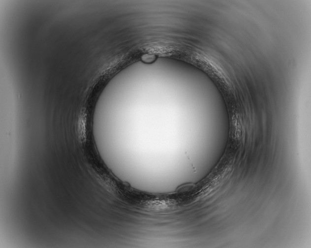 X0000095910404200801251014