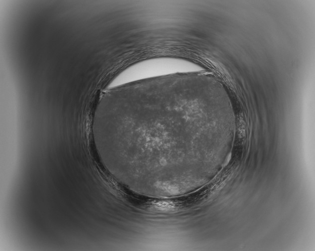 X0000095910409200801251014