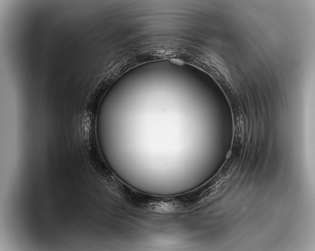 X0000095910412200801251014