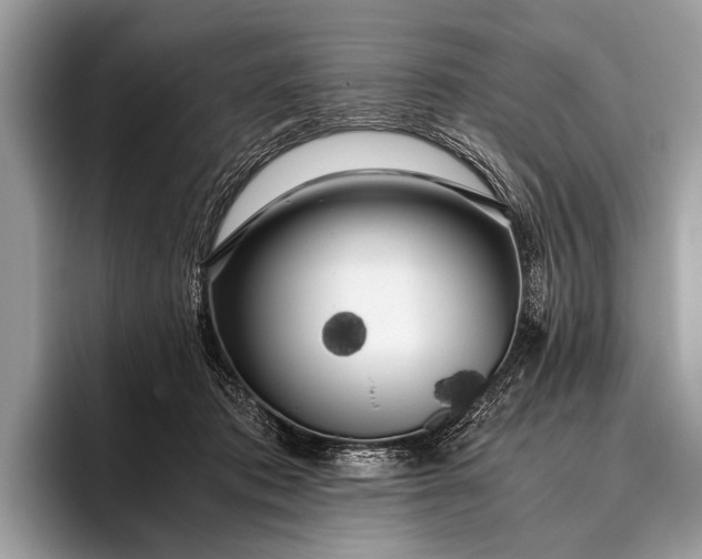 X0000095910413200801251014