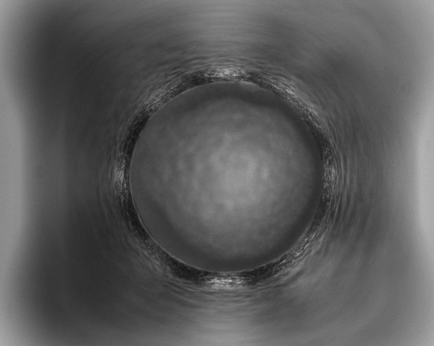 X0000095910415200801251014