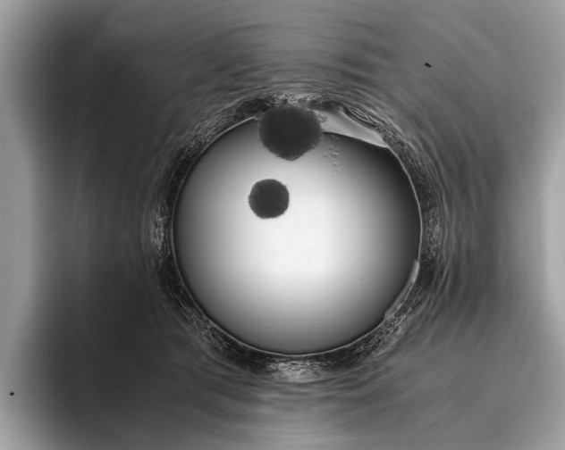 X0000095910417200801251014