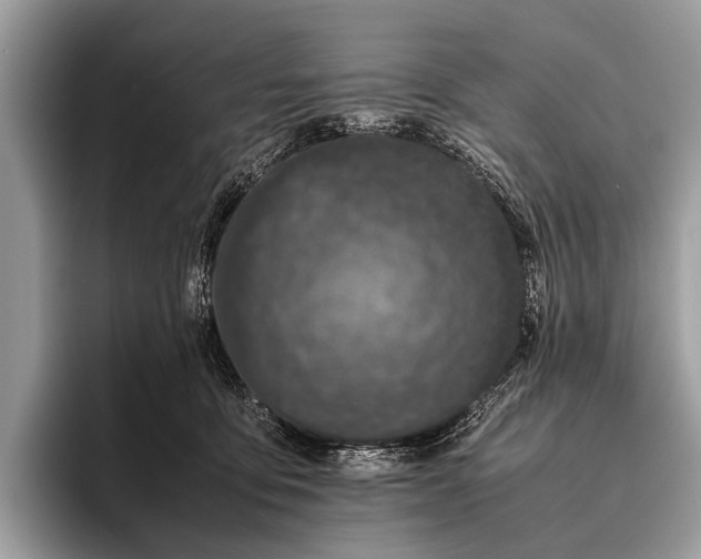 X0000095910419200801251014