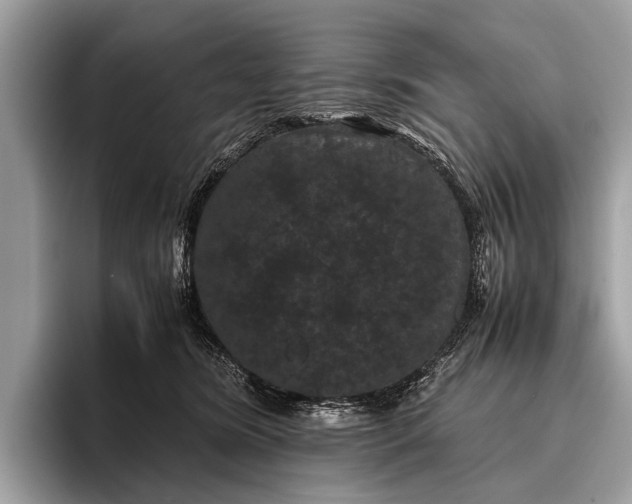 X0000095910420200801251014