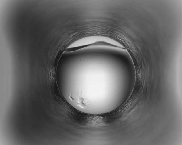 X0000095910421200801251014