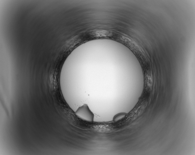 X0000095910422200801251014