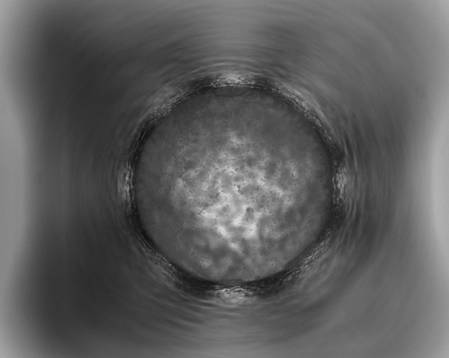 X0000095910423200801251014