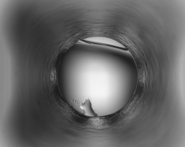 X0000095910425200801251013