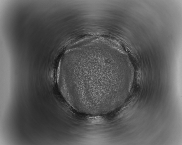 X0000095910428200801251013