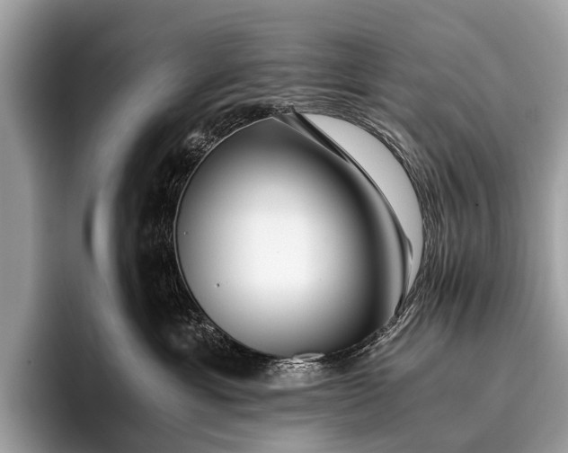 X0000095910429200801251013