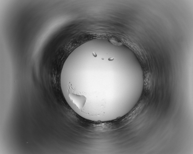 X0000095910430200801251013