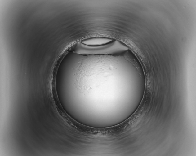 X0000095910434200801251013