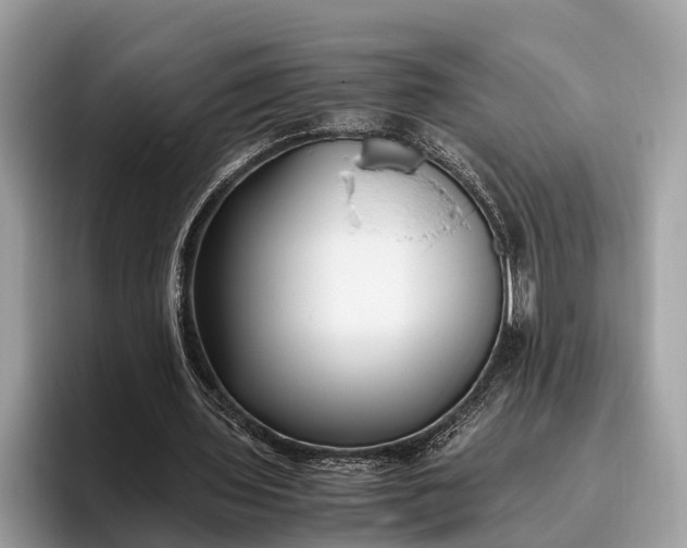 X0000095910435200801251013