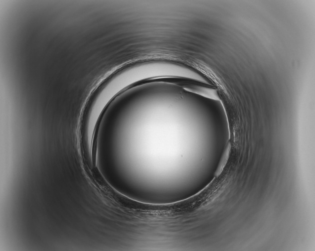 X0000095910436200801251013