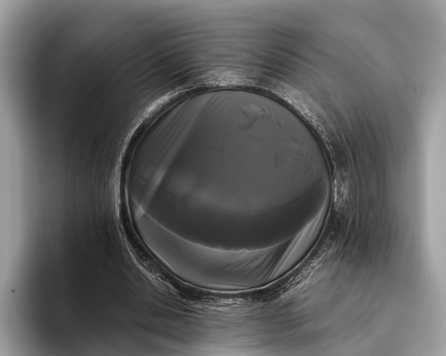 X0000095910438200801251013