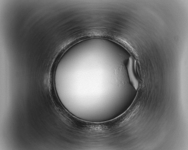 X0000095910439200801251013