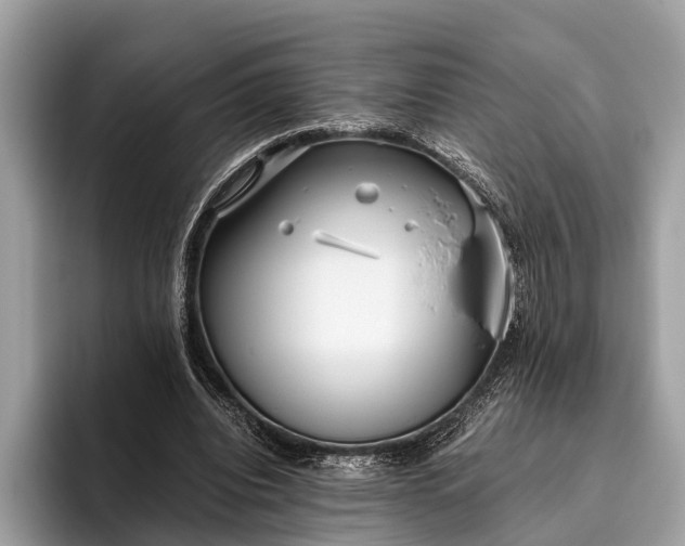 X0000095910440200801251013