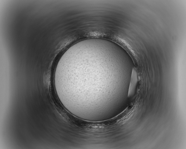 X0000095910443200801251013