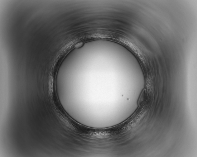 X0000095910445200801251013