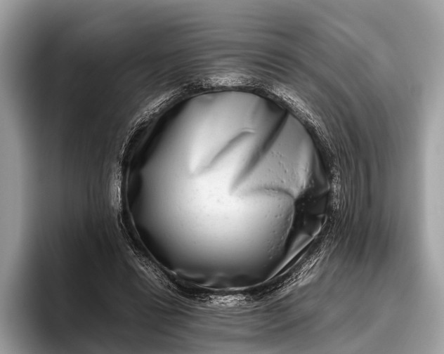 X0000095910446200801251013