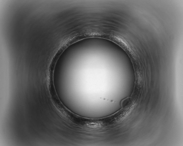 X0000095910447200801251013