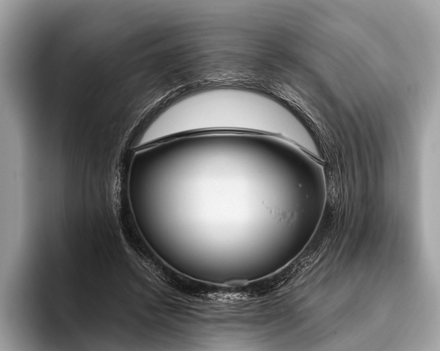 X0000095910448200801251013