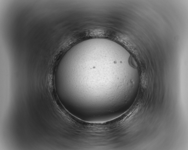 X0000095910449200801251013