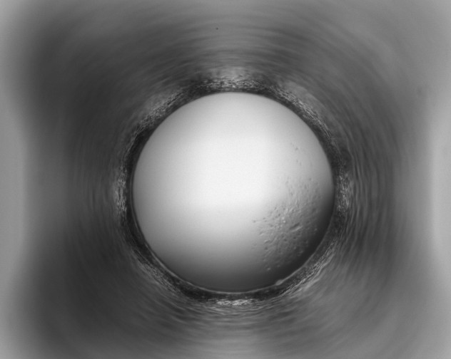 X0000095910450200801251013