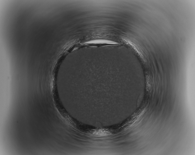 X0000095910451200801251013