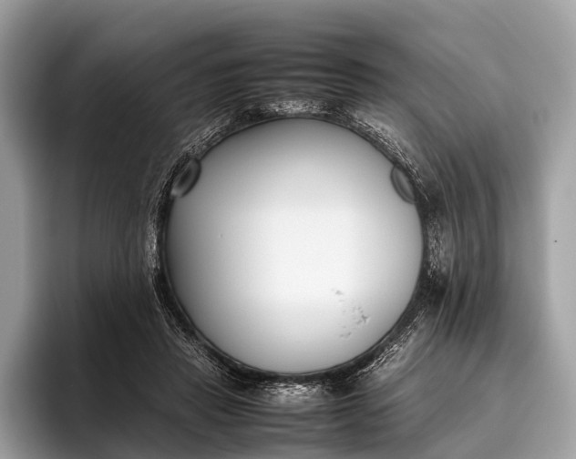 X0000095910453200801251013