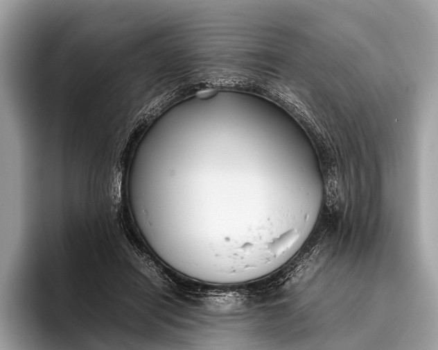 X0000095910454200801251013